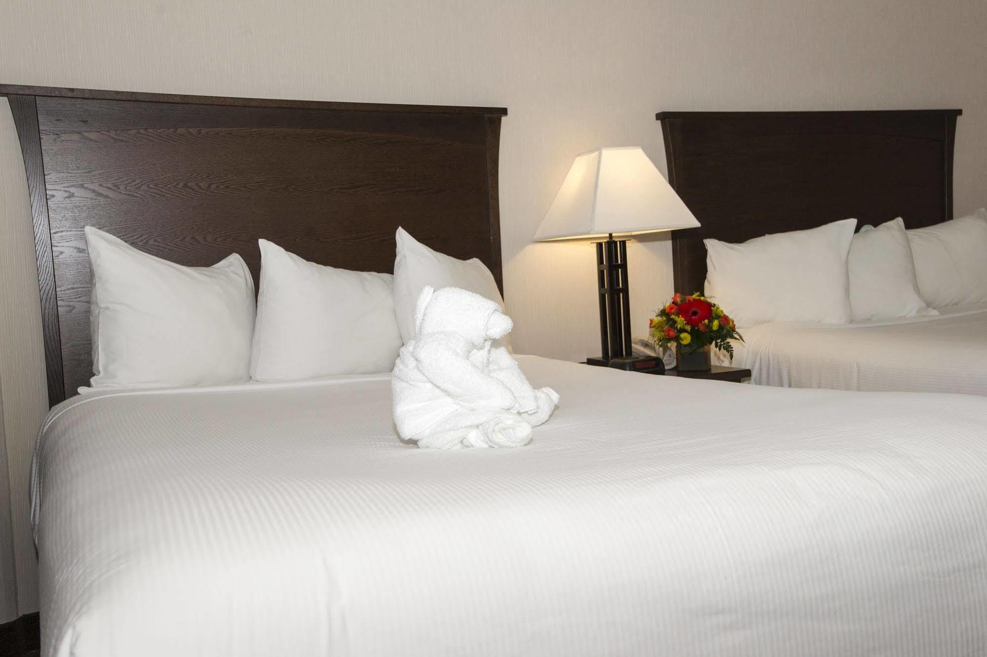 Quality Inn & Suites Yellowknife Exteriér fotografie